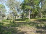 Fowlers Way Lots